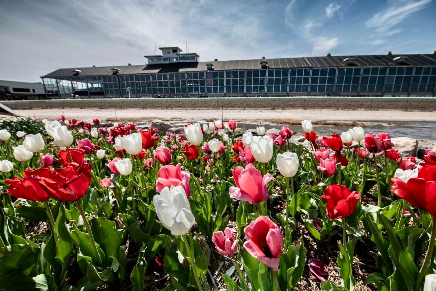 Fonner Park's Kentucky Derby Day